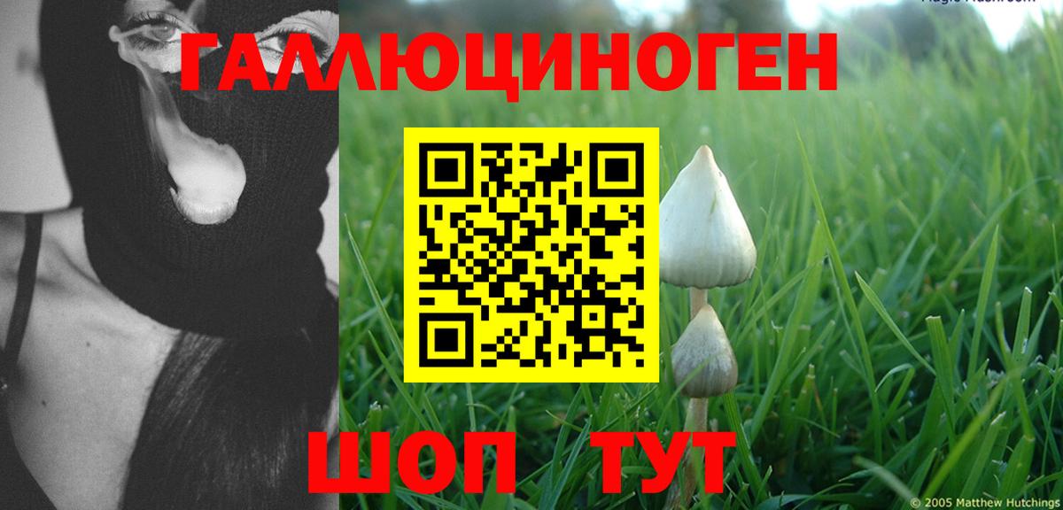 Псилоцибиновые грибы MAGIC MUSHROOMS  Вход с VPN  Лысьва 